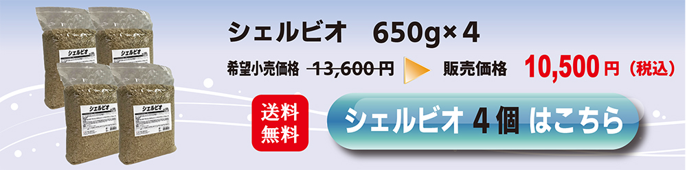 シェルビオ 4個セット